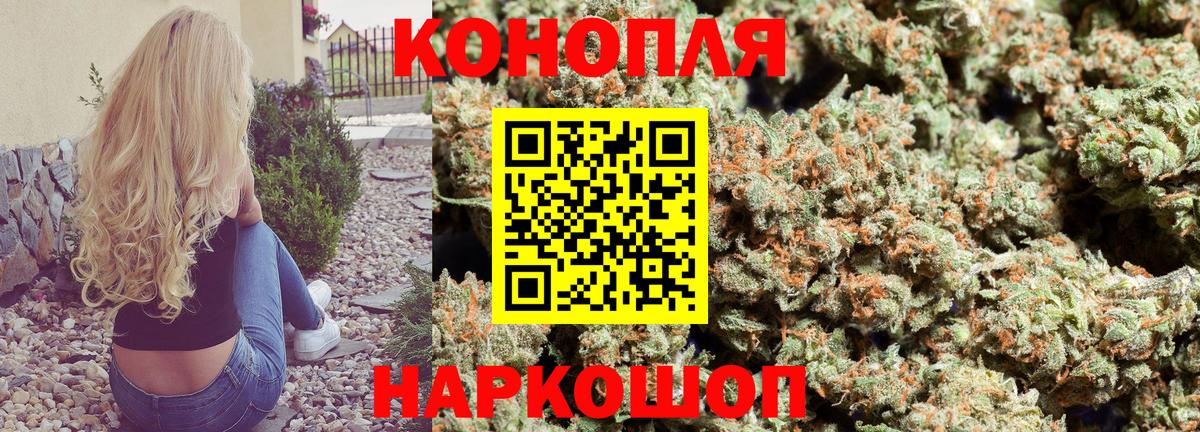 Шишки марихуана OG Kush Сургут
